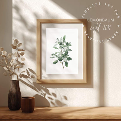 Silver Sage Wall Art | Kitchen Botanical Poster | Lemonbaum