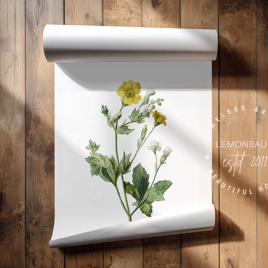 Buttercup Wildflower Wall Art | Botanical Kitchen Poster | Lemonbaum