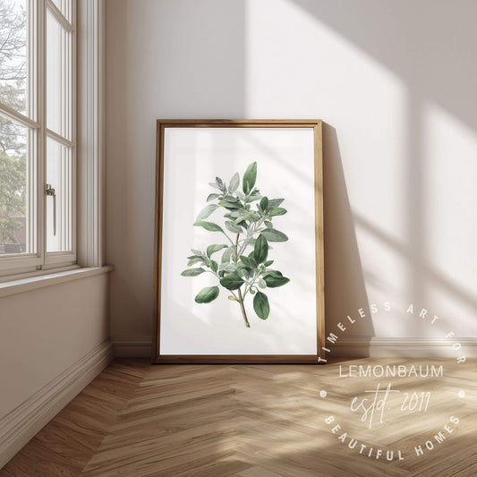 Silver Sage Wall Art | Kitchen Botanical Poster | Lemonbaum