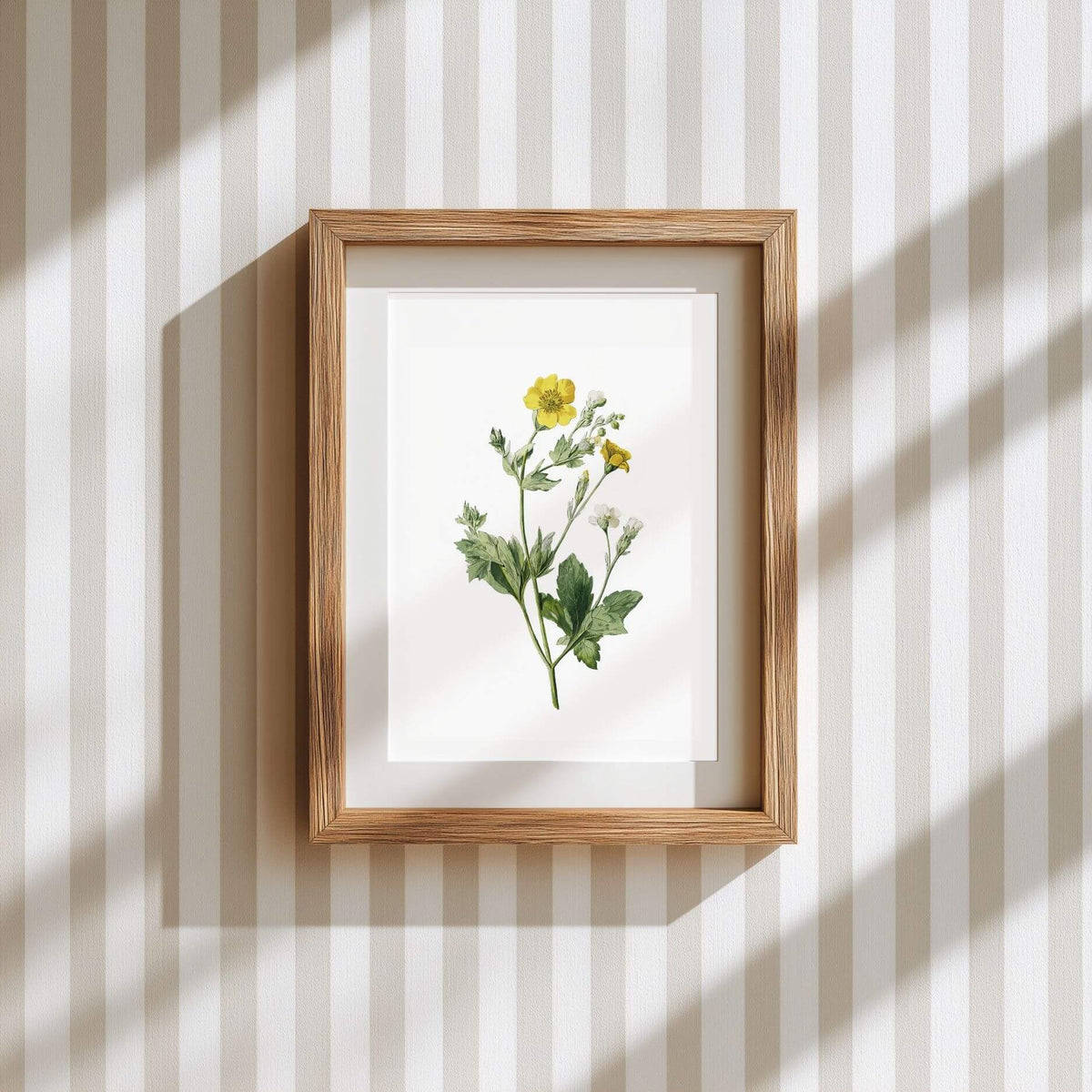 Buttercup Wildflower Wall Art | Botanical Kitchen Poster | Lemonbaum