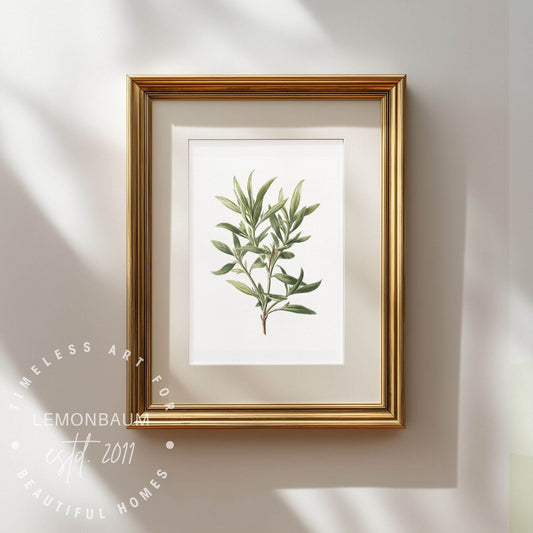 Blue Sage Sprig Wall Art | Kitchen Botanical Poster | Lemonbaum