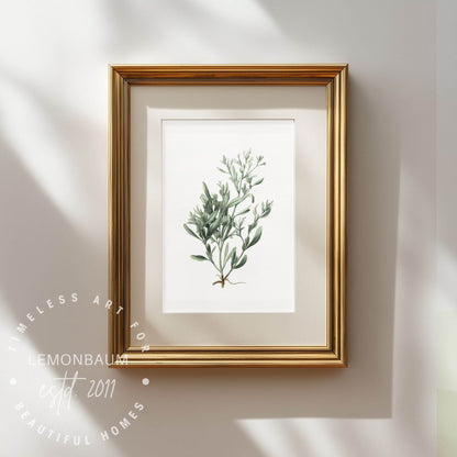 Silver Lavender Sprig Wall Art | Kitchen Botanical Poster | Lemonbaum